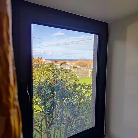 Adega De Flores Holiday home
